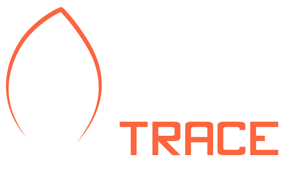 edi trace tunisie